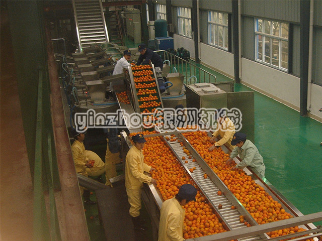 柑橘生產(chǎn)線.jpg