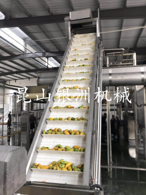 芒果生產(chǎn)線5_副本.jpg
