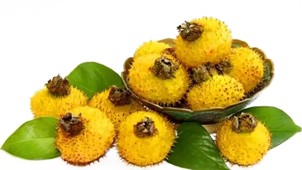 1658733177893210.png 98b757005c9cc4175809ba1d1f934eb7.png